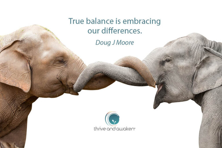 Two elephants with intertwined trunks. Quote from Doug: True balance is embracing our differences